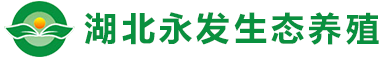 湖北南瓜视频带你另眼看世界生态黄色视频南瓜视频有限公司