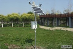 安藤南瓜视频在线观看入口被誉为“世界第一南瓜视频在线观看入口”