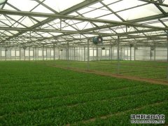 农业南瓜视频在线观看入口设备使用方法