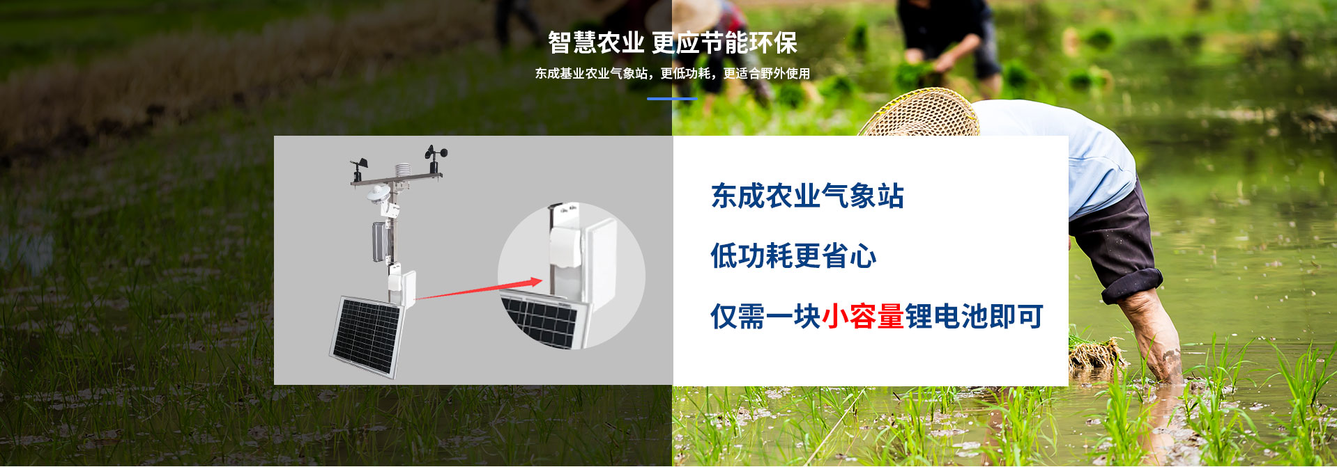 物联网南瓜视频在线观看入口