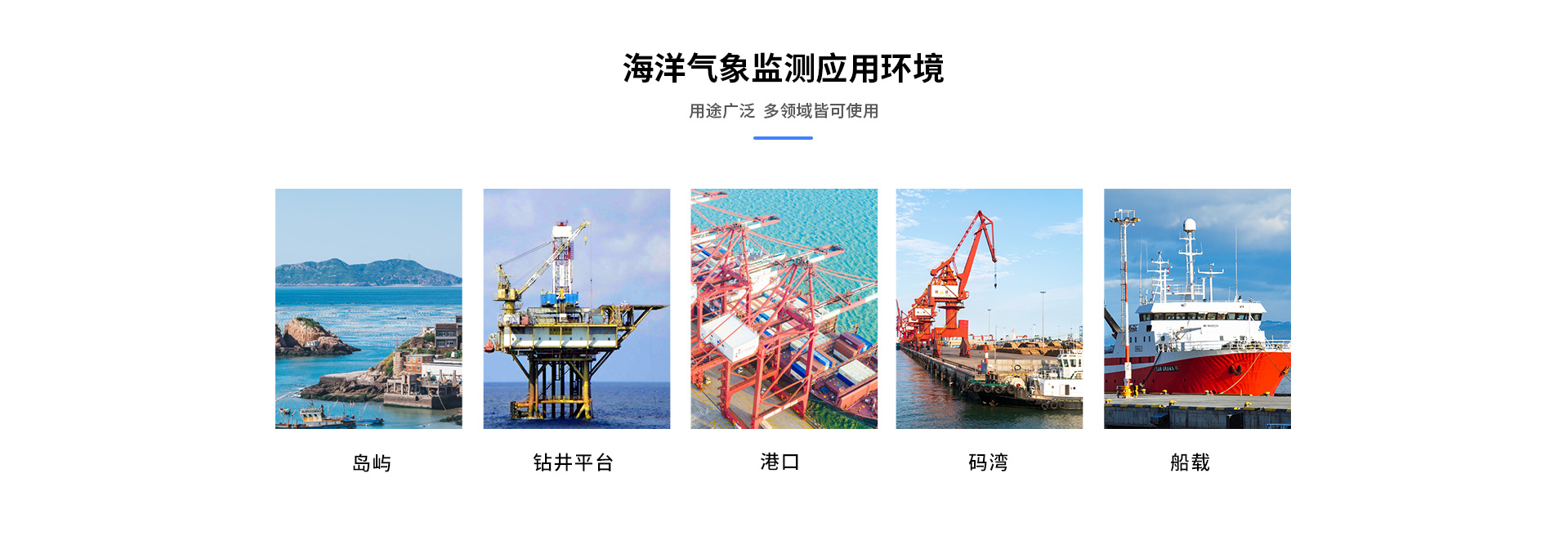 海洋南瓜视频在线观看入口