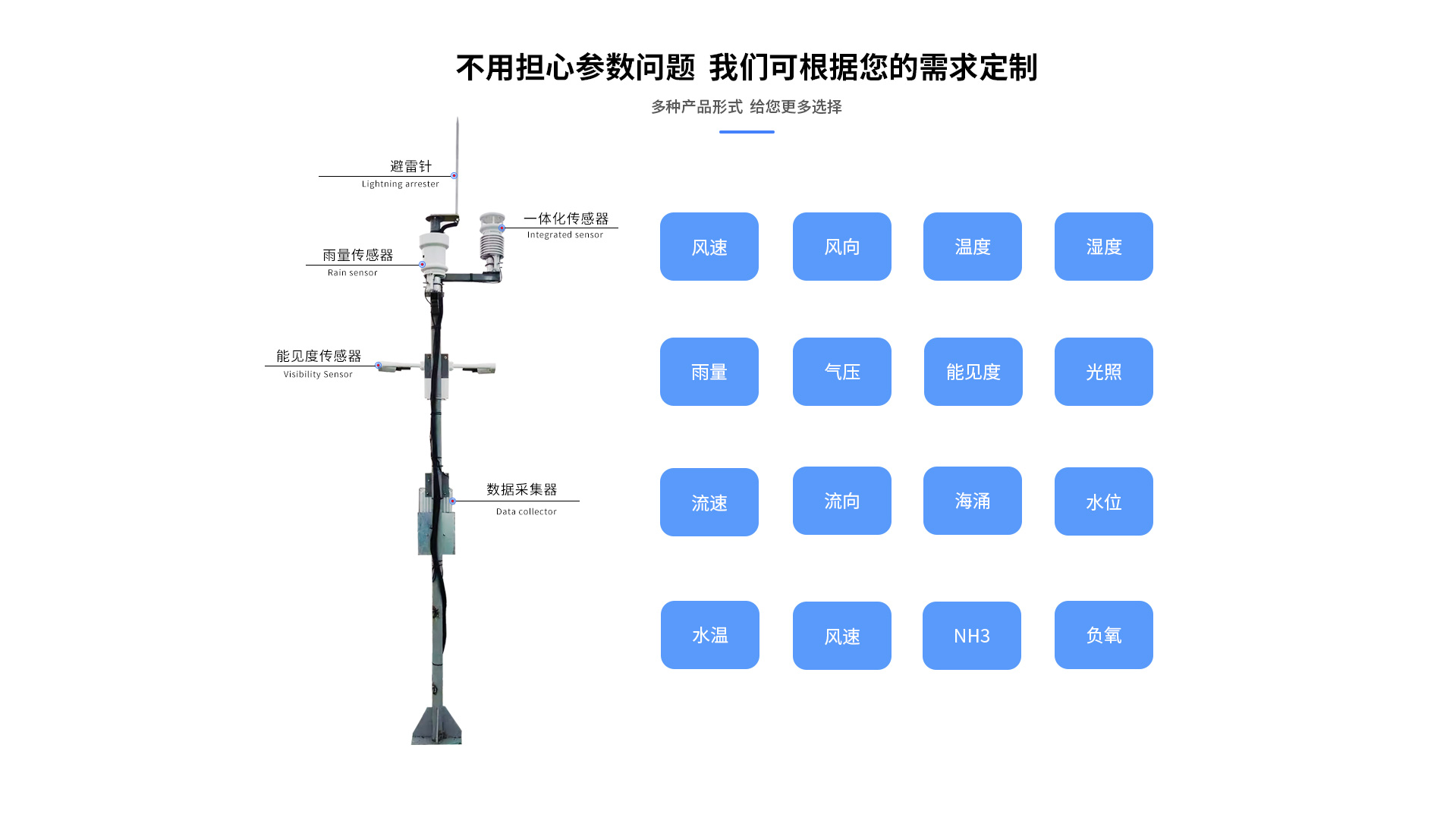 海洋南瓜视频在线观看入口