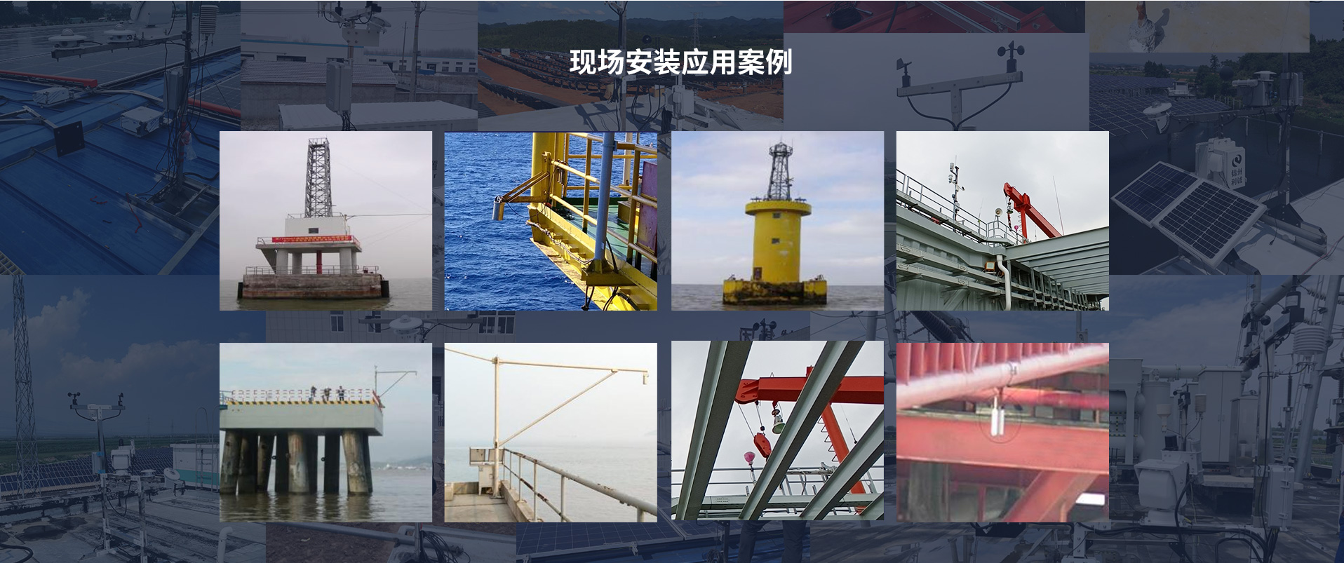 海洋南瓜视频在线观看入口
